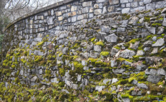 The image shows a moss-covered stone wall in an outdoor setting. The wall is constructed of irregularly shaped stones, and green moss grows in patches across the surface, adding texture and color. The background includes leafless trees, suggesting the scene is set during late fall or winter.